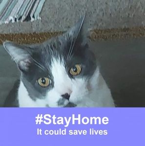 Meet your Posher, Diane